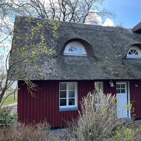 Appartamento Ferien Direkt Am Wasser Mit Hund